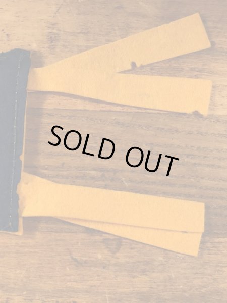 San Jose Stateのカレッジ物の50〜60’sヴィンテージフェルトペナント