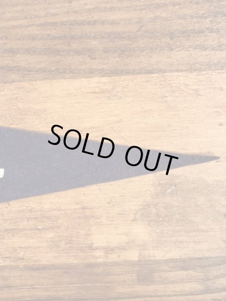 トーテムポールが描かれたスーベニア物の50〜60年代ビンテージペナント