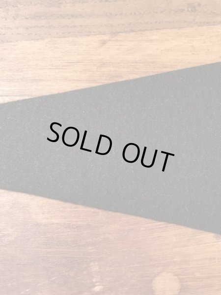 カラーフロッキーのカレッジ物の50〜60’sヴィンテージフェルトペナント