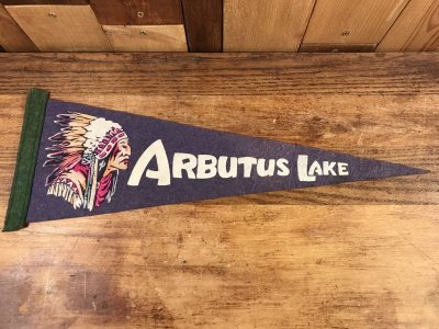 画像2: Arbutus Lake “Indian” Souvenir Pennant　インディアン　ビンテージ　ペナント　スーベニア　50〜60年代