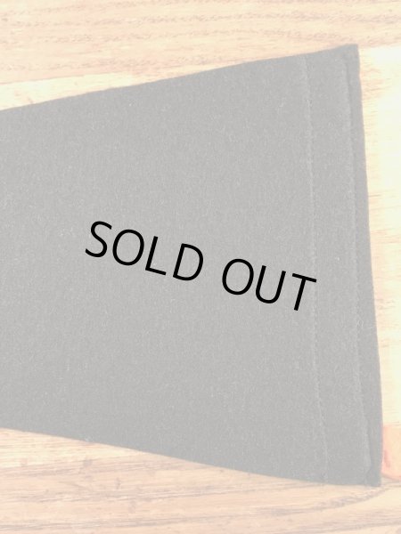 カラーフロッキーのカレッジ物の50〜60’sヴィンテージフェルトペナント