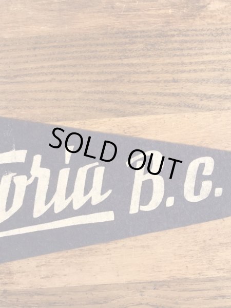 トーテムポールが描かれたスーベニア物の50〜60’sヴィンテージフェルトペナント