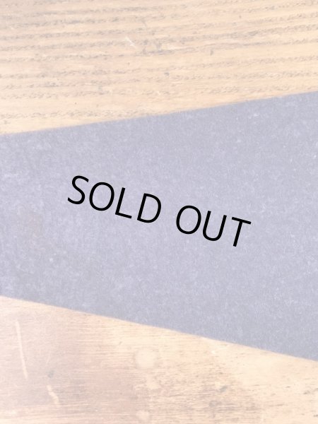 インディアンが描かれたスーベニア物の50〜60年代ビンテージペナント