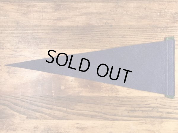 インディアンが描かれたArbutus Lakeの50〜60’sヴィンテージフェルトペナント