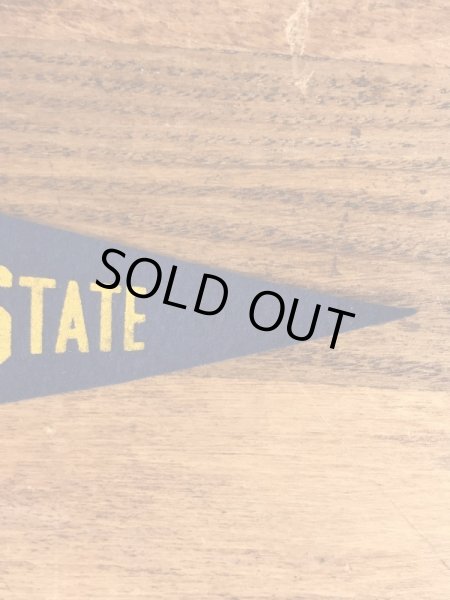 San Jose Stateのカレッジ物の50〜60’sヴィンテージフェルトペナント