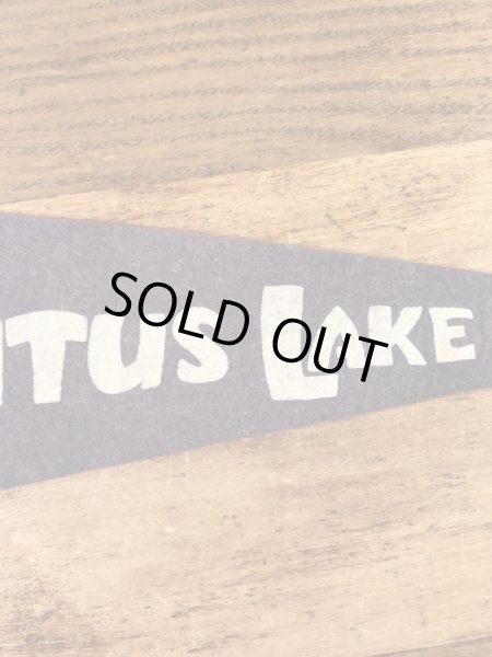 インディアンが描かれたスーベニア物の50〜60年代ビンテージペナント