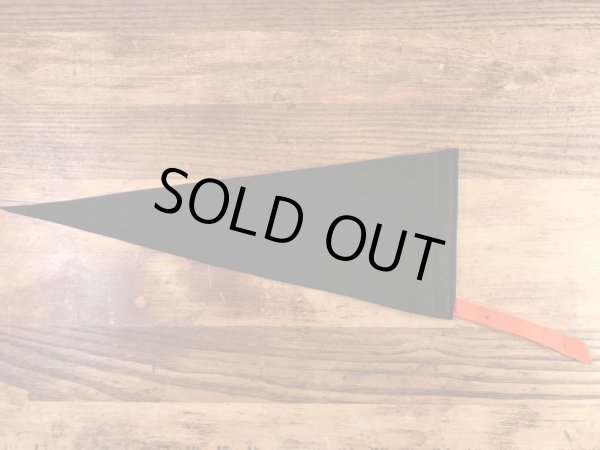 カラーフロッキーのカレッジ物の50〜60’sヴィンテージフェルトペナント