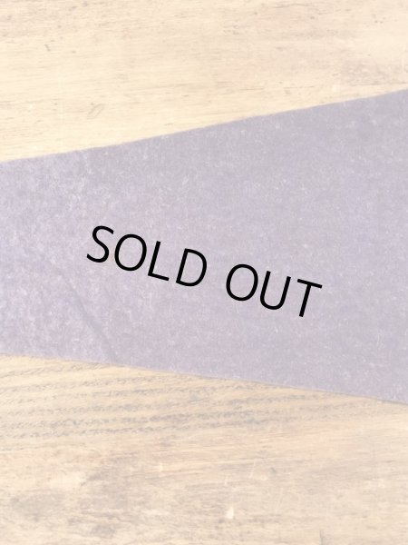 サンフランシスコチャイナタウンのスーベニア物の50〜60’sヴィンテージフェルトペナント