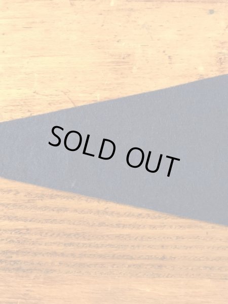 San Jose Stateのカレッジ物の50〜60’sヴィンテージフェルトペナント