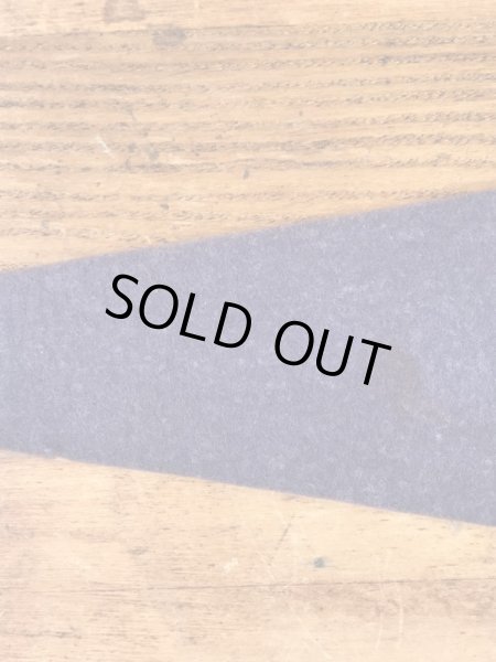 インディアンが描かれたArbutus Lakeの50〜60’sヴィンテージフェルトペナント