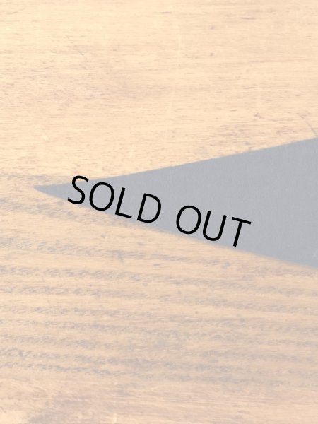 サンノゼステイトのカレッジ物の50〜60年代ビンテージペナント