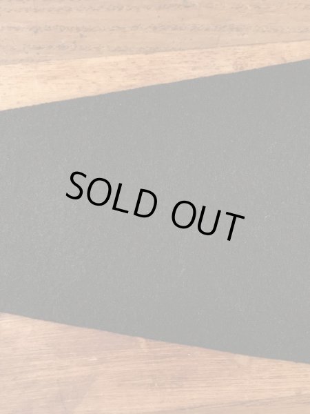 カリフォルニアパシフィック大学のカレッジ物の50〜60年代ビンテージペナント