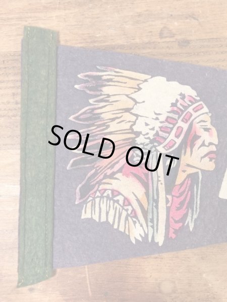 インディアンが描かれたスーベニア物の50〜60年代ビンテージペナント