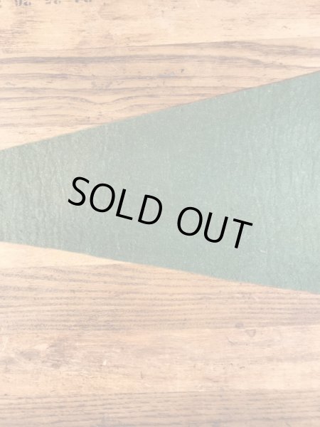 USアーミーのCamp Fannin,Texasの40〜50年代ビンテージペナント