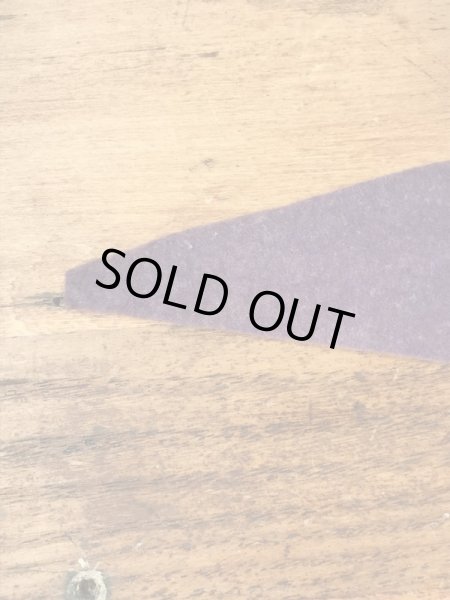 サンフランシスコチャイナタウンのスーベニア物の50〜60’sヴィンテージフェルトペナント