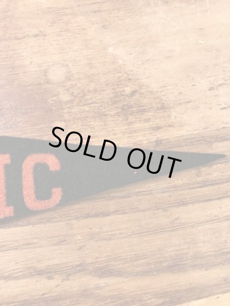 カラーフロッキーのカレッジ物の50〜60’sヴィンテージフェルトペナント