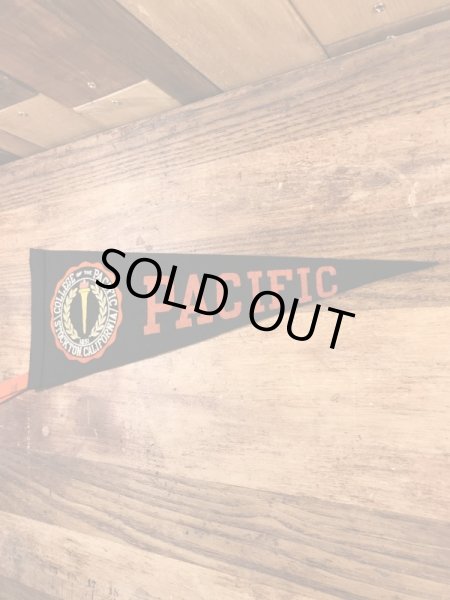 カラーフロッキーのカレッジ物の50〜60’sヴィンテージフェルトペナント