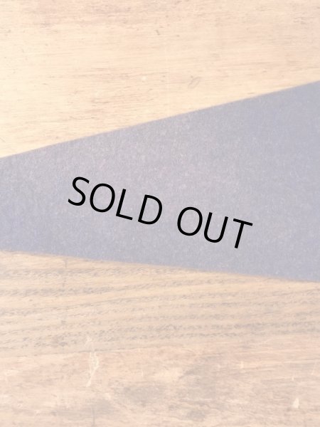 トーテムポールが描かれたスーベニア物の50〜60’sヴィンテージフェルトペナント