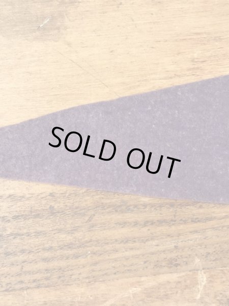 サンフランシスコチャイナタウンのスーベニア物の50〜60’sヴィンテージフェルトペナント