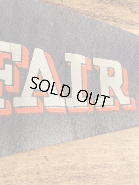 ニューヨークWorld's Fairのスーベニア物の60’sヴィンテージフェルトペナント