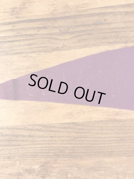 ユニバーシティ物のフェルト製の30〜40年代ビンテージペナント