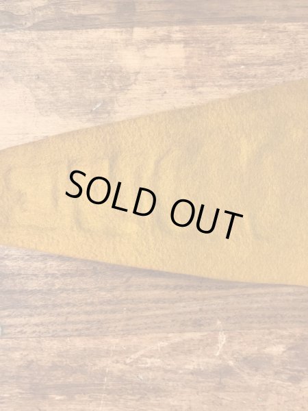 Purdue Boilermakersのユニバーシティ物の60’s〜ヴィンテージフェルトペナント