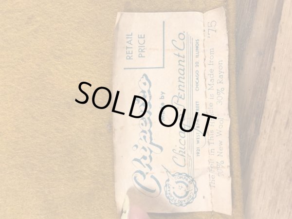 カラーフロッキーのユニバーシティ物の60年代〜ビンテージペナント