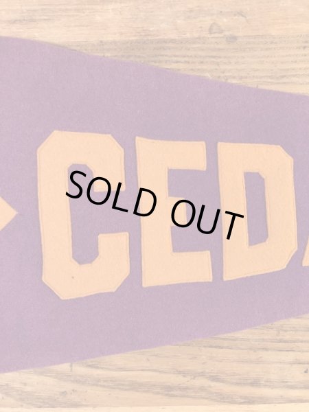 ユニバーシティ物のフェルト製の30〜40年代ビンテージペナント