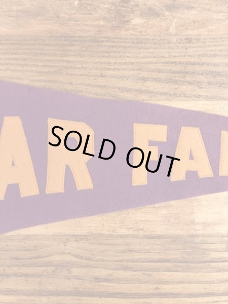 Cedar Fallsのカレッジ物の30〜40’sヴィンテージフェルトペナント