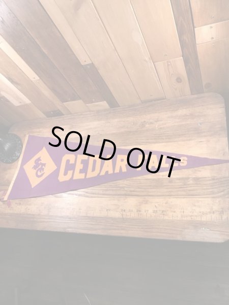 Cedar Fallsのカレッジ物の30〜40’sヴィンテージフェルトペナント