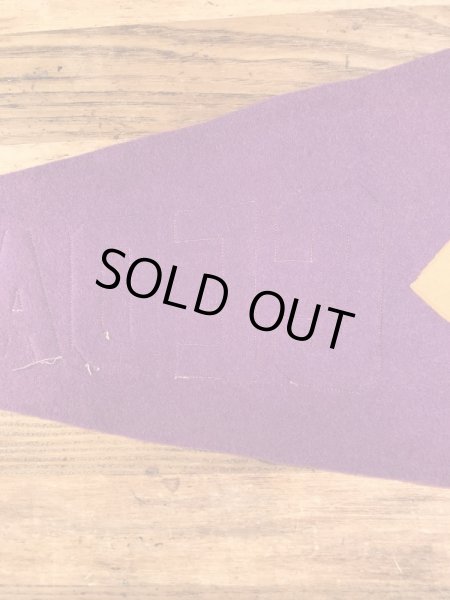 ユニバーシティ物のフェルト製の30〜40年代ビンテージペナント