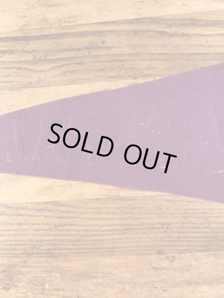 Cedar Fallsのカレッジ物の30〜40’sヴィンテージフェルトペナント