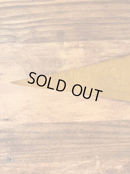 カラーフロッキーのユニバーシティ物の60年代〜ビンテージペナント