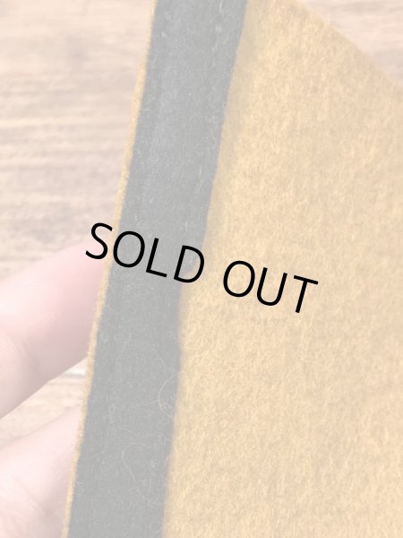 カラーフロッキーのユニバーシティ物の60年代〜ビンテージペナント