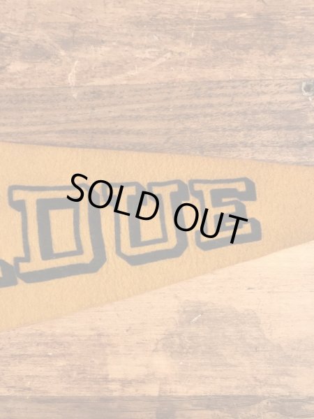 カラーフロッキーのユニバーシティ物の60年代〜ビンテージペナント