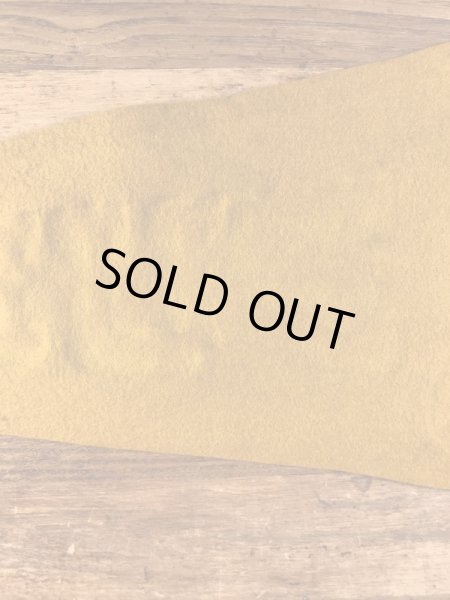 カラーフロッキーのユニバーシティ物の60年代〜ビンテージペナント