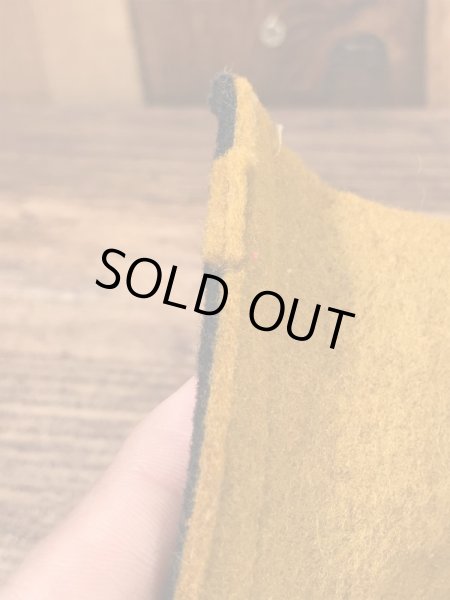 カラーフロッキーのユニバーシティ物の60年代〜ビンテージペナント