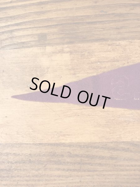 Cedar Fallsのカレッジ物の30〜40’sヴィンテージフェルトペナント