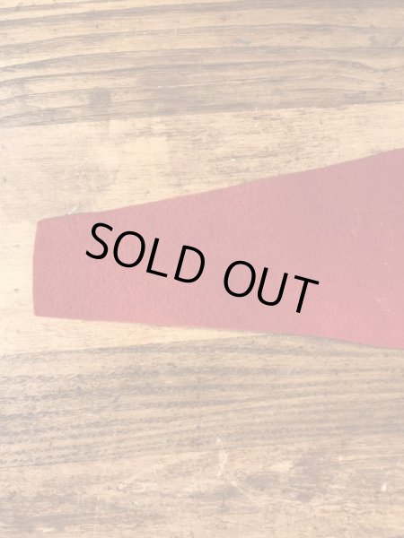 ブライアント大学のユニバーシティ物の30〜40年代ビンテージペナント