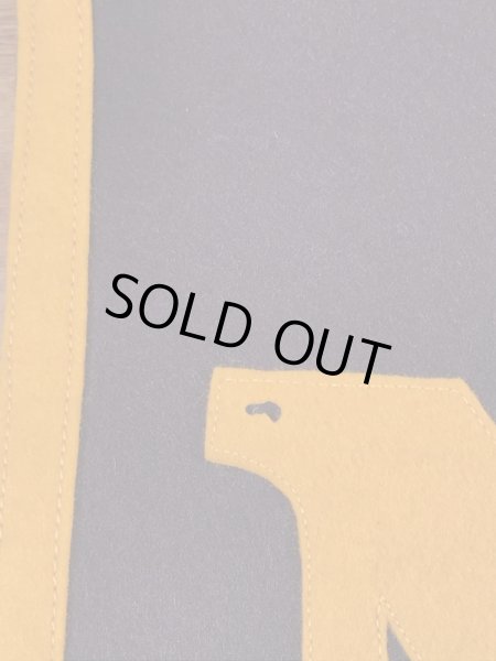 USネイビーのユニバーシティ物の30〜40年代ビンテージペナント