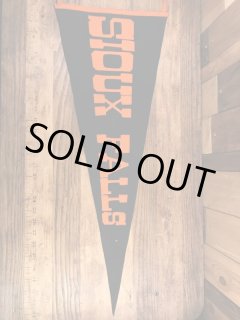 Pennant、Banner(ペナント、バナー)系 - STIMPY(Vintage