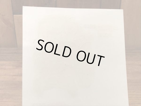 Impko社製のeezeモンスターの60’sヴィンテージウォータースライドデカール