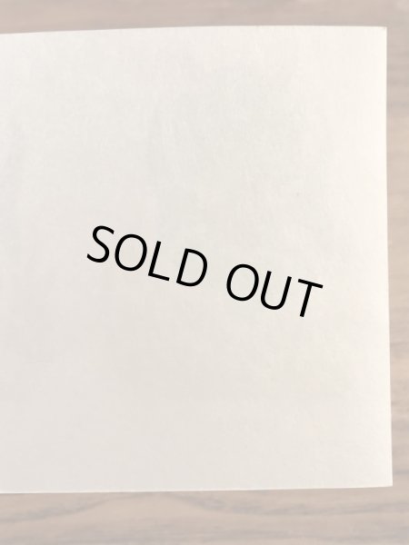 Impko社製のDevilの60’sヴィンテージウォータースライドデカール