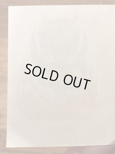 Impko社製のデビルの60年代ビンテージ水張りステッカー