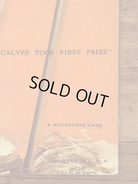 My Calves Took First Prizeのメッセージが書かれたピンナップガールの40’sヴィンテージカード