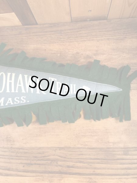 スーベニア物のペナントの60’s〜ヴィンテージピロークッション