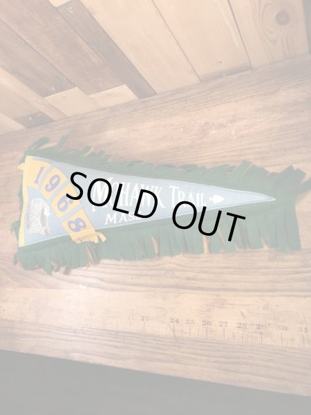 スーベニア物のペナントの60’s〜ヴィンテージピロークッション