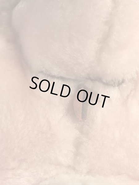 ケナー社製のケアベアの80’sヴィンテージプラッシュドール