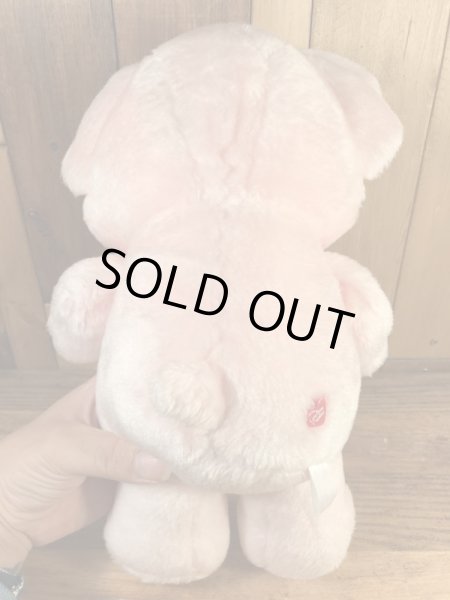 ケナー社製のケアベアの80’sヴィンテージプラッシュドール