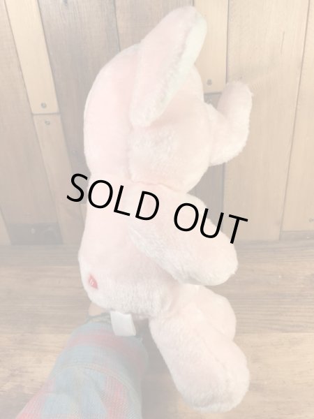 ケナー社製のケアベアの80’sヴィンテージプラッシュドール